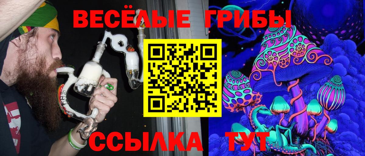 Галлюциногенные грибы Cubensis Каспийск