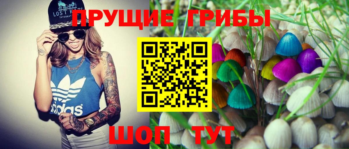 Каспийск  Галлюциногенные грибы мухоморы  как найти закладки  Вход с VPN  Галлюциногенные грибы Psilocybe 